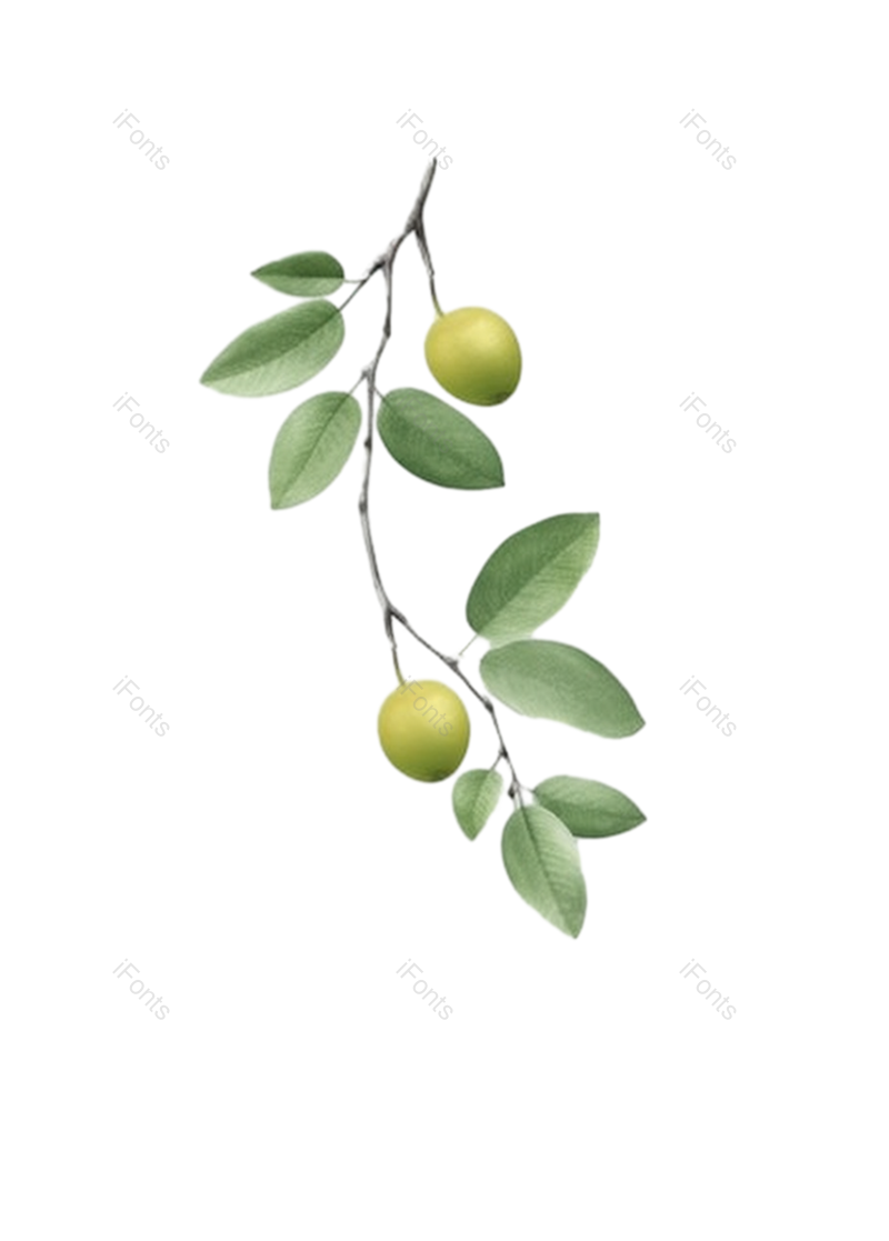 叶子图片,芒种元素,元素PNG,卡通免抠素材